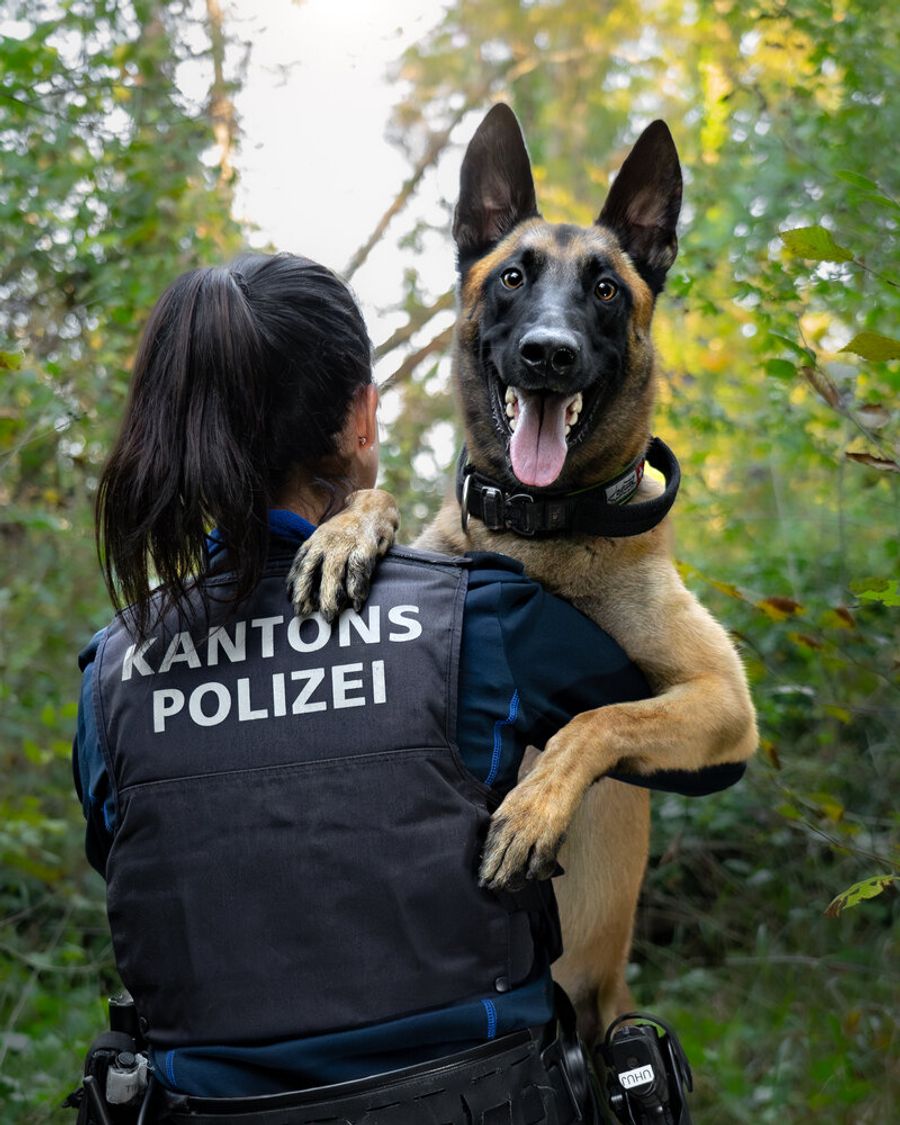 Malouk Diensthund