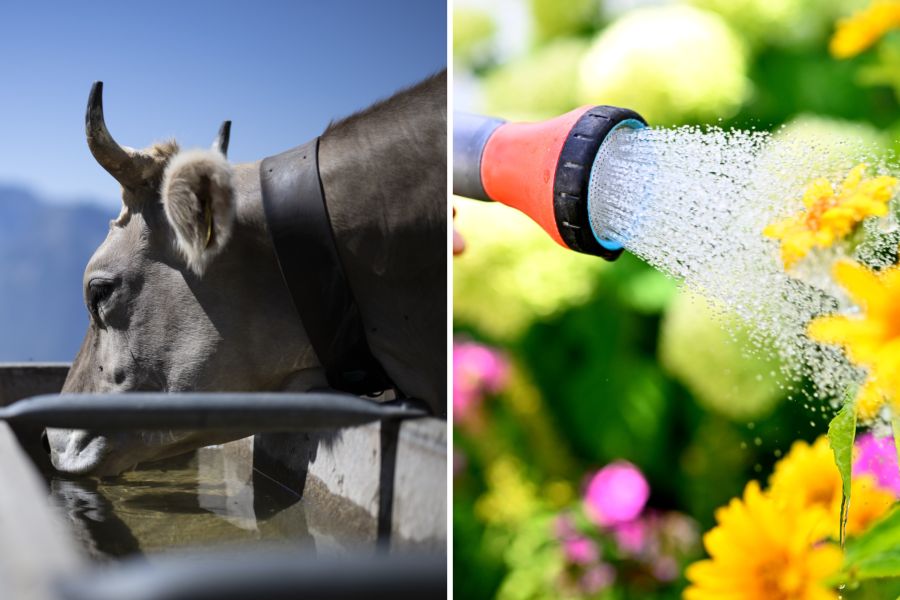 landwirtschaft