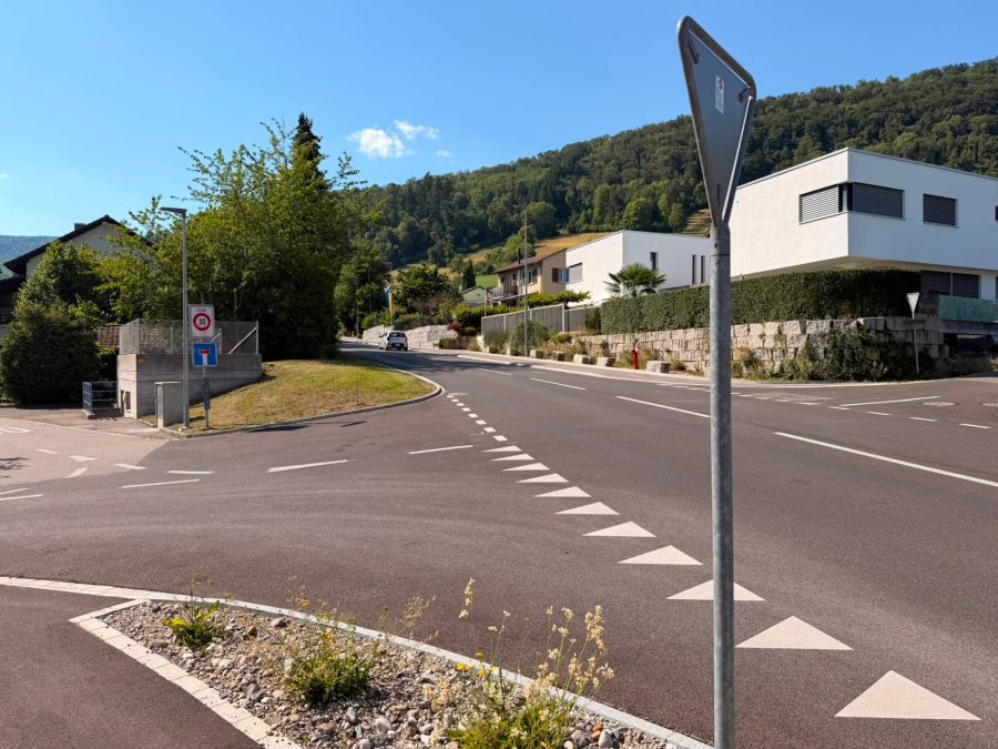 Die Strasse verlaufe an einer Kurve. Eine Böschung nehme die Sicht.