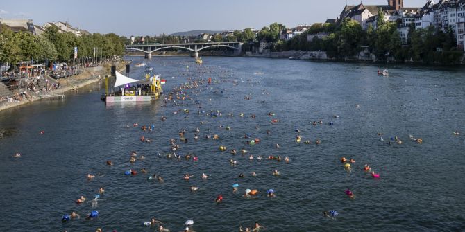 Rheinschwimmens