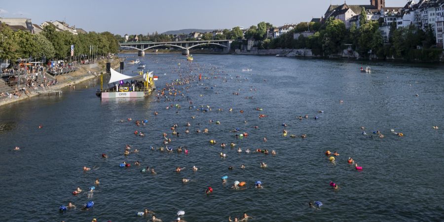 Rheinschwimmens