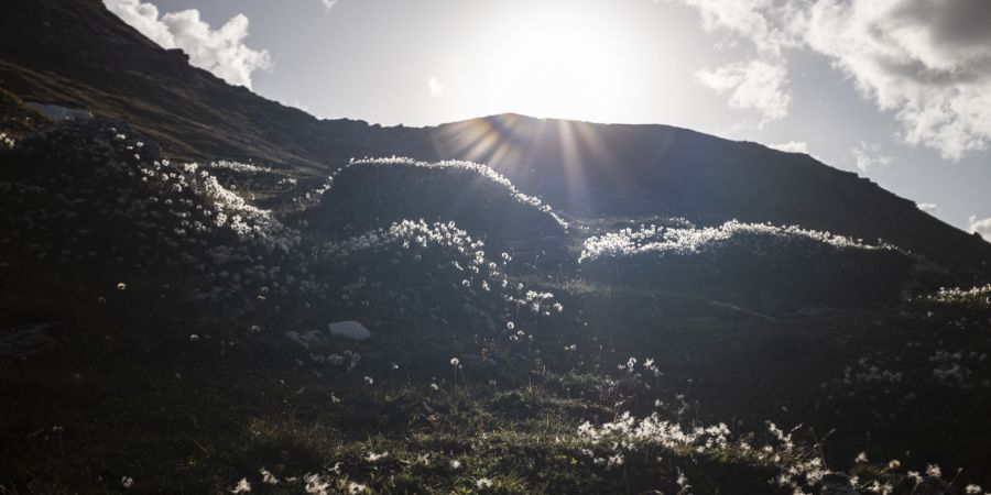 Berggipfel