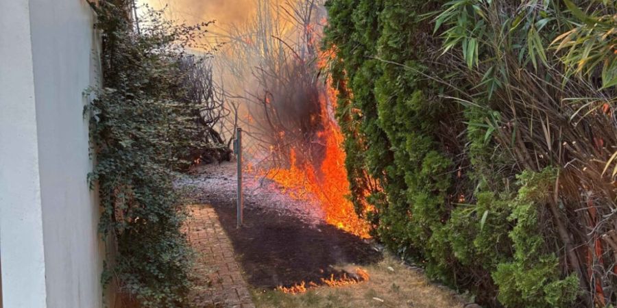 In Seengen brannte am Freitagnachmittag ein Garten.