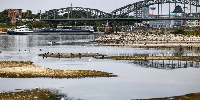 Köln Rhein