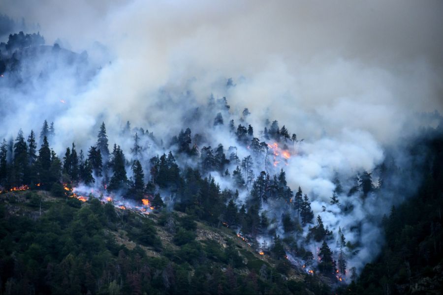 Waldbrand Bitsch