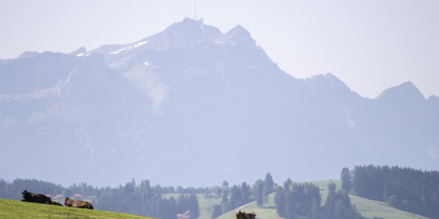 2021 wurden in Eggersriet SG erstmals Rückstände von PFAS in Landwirtschaftsböden nachgewiesen. Seither dreht das Thema immer weitere Kreise. (Archivbild)