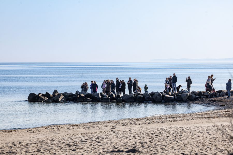 Es sei wichtig, dass sich Unbeteiligte dem Tier nicht näherten, um es nicht noch mehr zu stressen, so ein Polizeisprecher.