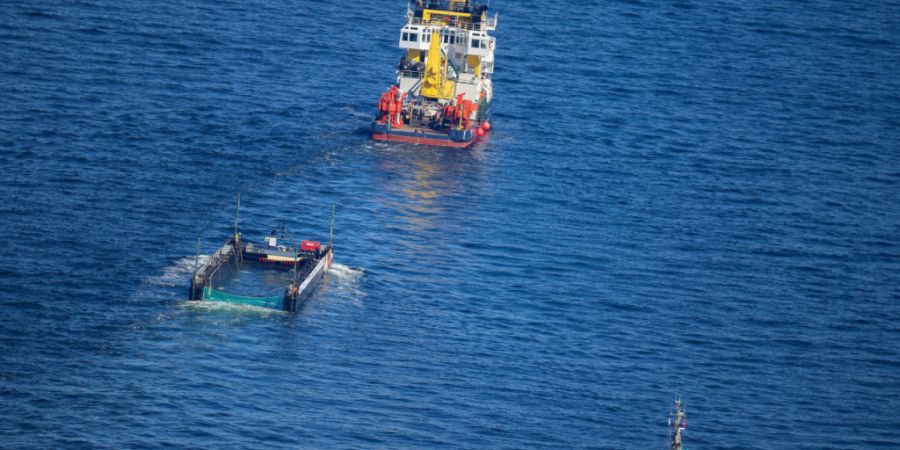 Der Buckelwal wird in seiner Barge vom Schlepper Fortuna B entlang der dänischen Küste in Höhe Aarhus in Richtung Nordsee durch die Ostsee gezogen, die Robin Hood begleitet den Konvo...