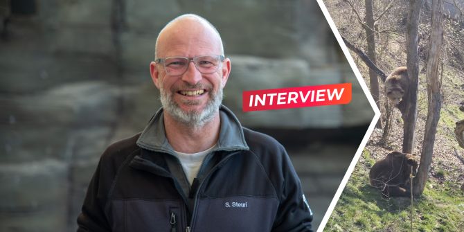 Stefan Steuri Bärenpark.