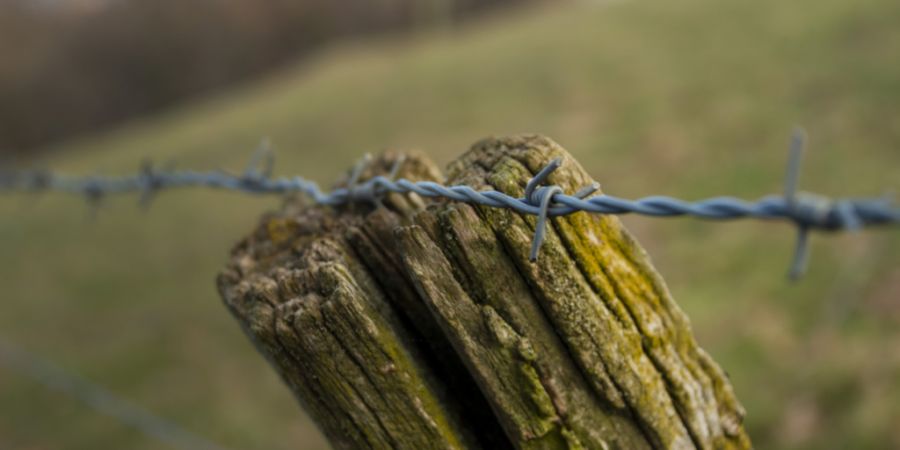 Stacheldrahtzäune sind eine Gefahr für Wildtiere. Im Kanton St. Gallen sind sie mittlerweile weitgehend verboten. (Symbolbild)