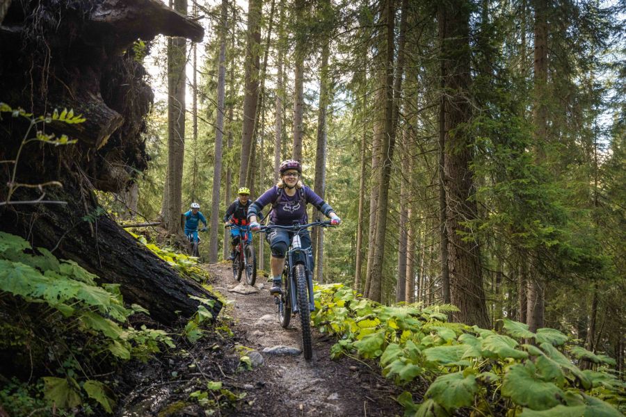 Mit dem E-Mountainbike geht es durch Wälder über Stock und Stein.