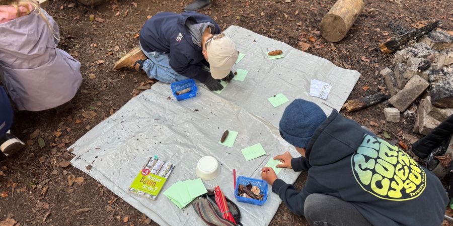 Lernen unter freiem Himmel