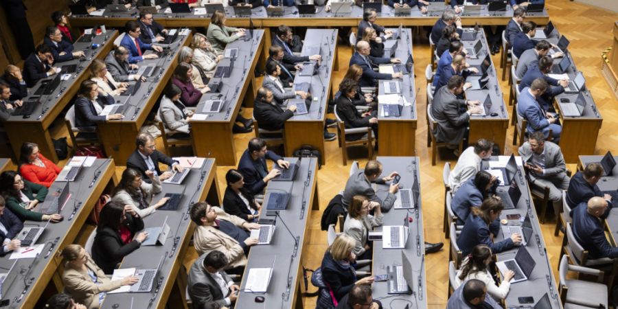 Die Oberwalliser Partei Neo stellt sieben Grossräte im Walliser Kantonsparlament. (Archivbild)