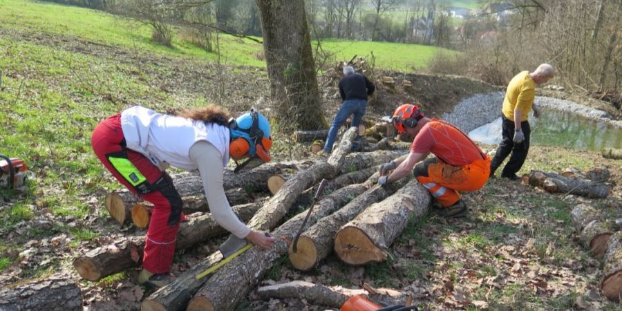 Herbetswil Allmendweiher