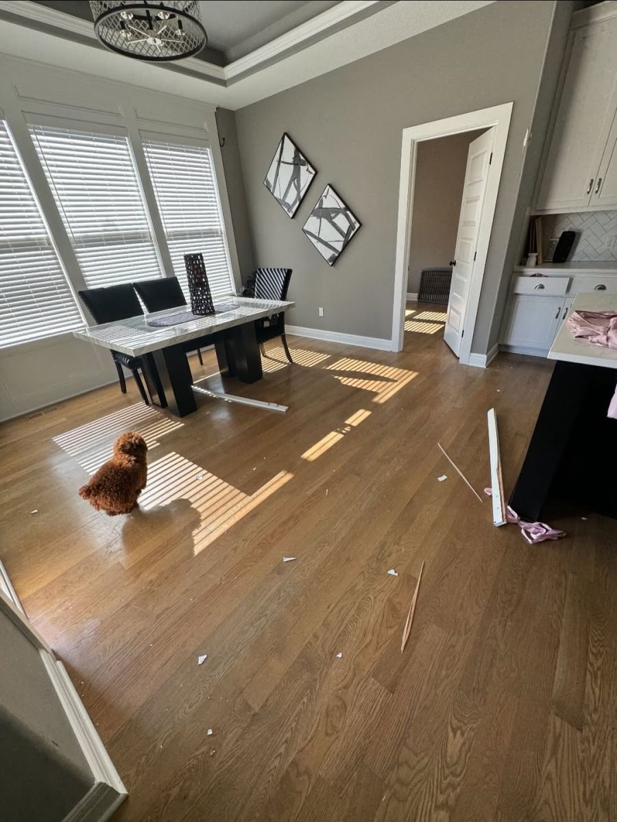 Rice habe mehrfach die Tür bei ihr zuhause eingeschlagen.