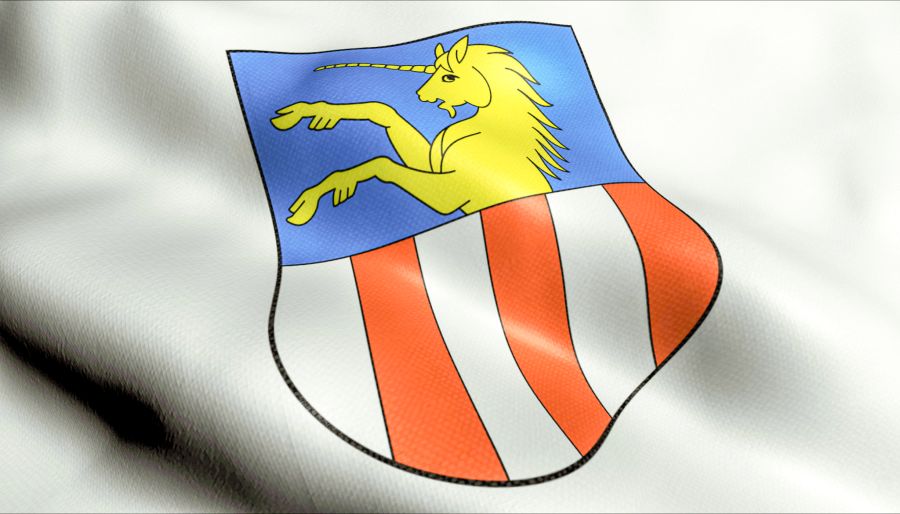 Wappen Dübendorf SLAPSHOT