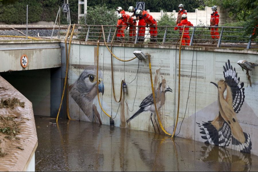 Bislang sind über 200 Todesfälle aufgrund der Flut bekannt. Viele weitere Menschen werden vermisst.