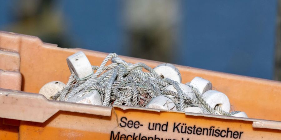 Heringe dürfen in der westlichen Ostsee unter bestimmten Bedingungen weiter gefangen werden.