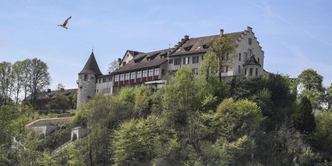 Schloss Laufen Zürich Betrug Veruntreuung