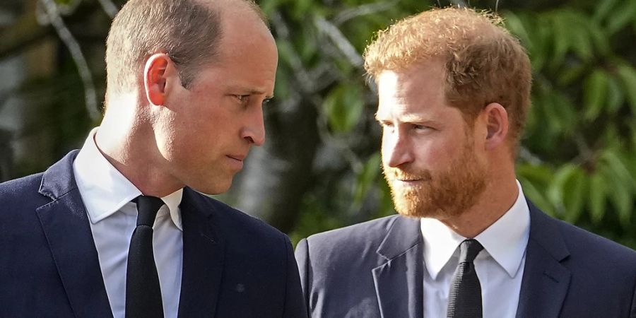 prinz harry william