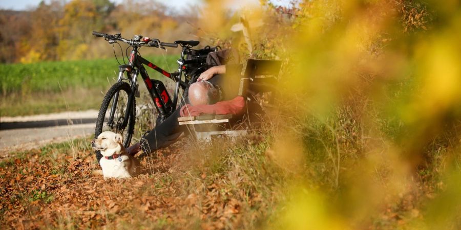 Ein Radfahrer und sein Hund sonnen sich auf der Schwäbischen Alb.