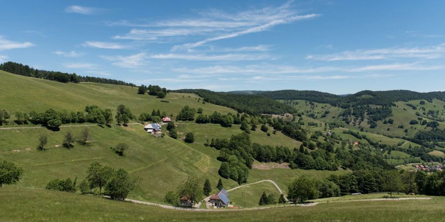 Blick in ein Tal im Südschwarzwald: Dank finanzieller Förderung werden die Bergweiden im Biosphärengebiet Schwarzwald auch in Zukunft Touristen anlocken.
