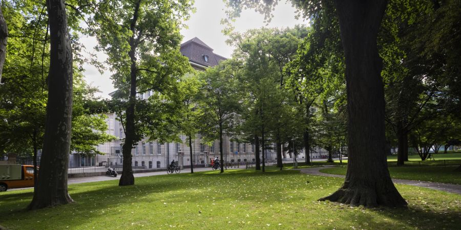 Das De Wette Schulhaus in Basel grenzt an den gleichnamigen Park, auch Elisabethenanlage genannt. Die Elisabethenanlage ist eine bemerkenswerte Parkanlage an einem prominenten Ort in der Stadt.