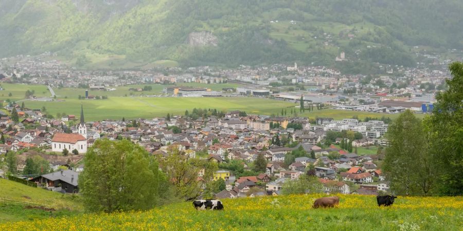 Ausblick auf Vilters-Wangs im Kanton St. Gallen.