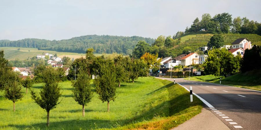 Surbtalstrasse in Richtung Zentrum Tegerfelden.