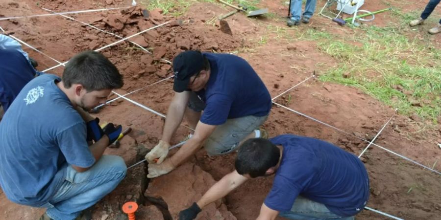 Ausgrabung im Süden Brasiliens