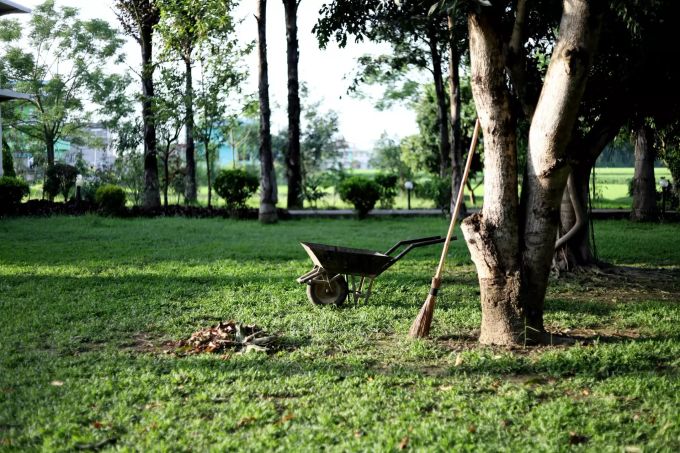 Wer seinen Garten möglichst ökologisch von Herbstlaub befreien möchte, greift am besten zu Harke und Besen. Garten, wo ein Besen und Schubkarre stehen.