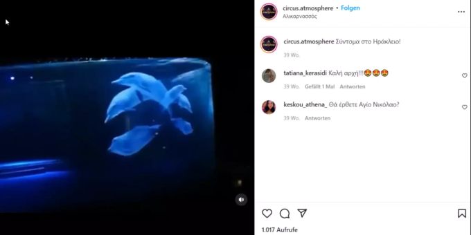 Im römsichen Zirkus treten keine echten Tiere auf – stattdessen bekommen Zuschauer Hologramme zu sehen. zirkus