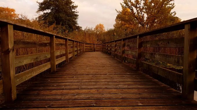 Brücke Brücke