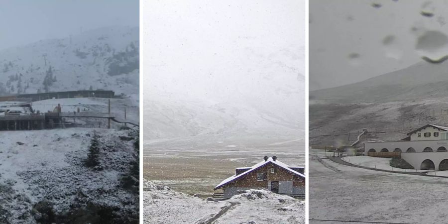 Schnee-Bilder