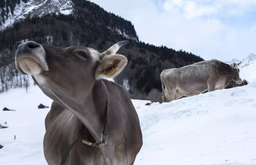 Schnee in der Schweiz