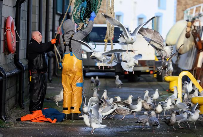 Fischer bei der Arbeit nach dem Anlegen im Fischerdorf Howth. Foto: Brian Lawless Brexit - Irland