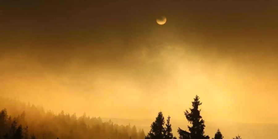 Nebelstimmung am Morgen auf dem Brocken im Harz. Foto: Matthias Bein/dpa-Zentralbild/dpa