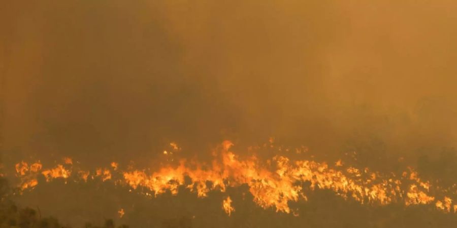 Feuer in Brigadoon, einem Vorort von Perth