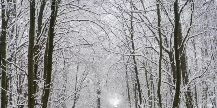 Spaziergänger im Taunus. Wetter mit Migrationshintergrund: «Tief Ahmet» macht den Anfang. Foto: Frank Rumpenhorst/dpa