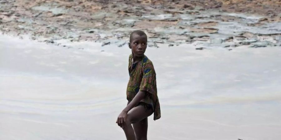 Verschmutzte Landstriche: Gemeinsam mit einer Umweltschutzorganisation verklagten vier nigerianische Bauern Shell - mit Erfolg. Foto: Marten Van Dijl/ANP/dpa