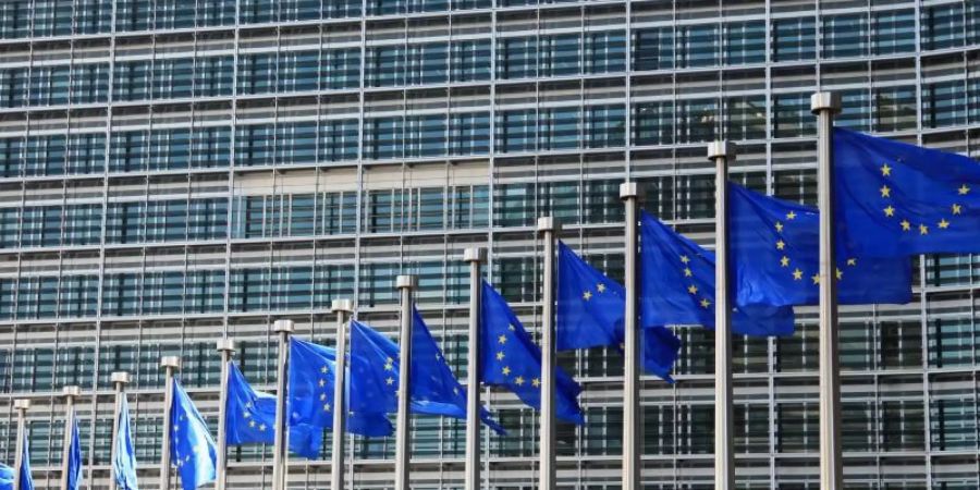 Nur die Europäische Kommission muss den neuen Scannern noch zustimmen.