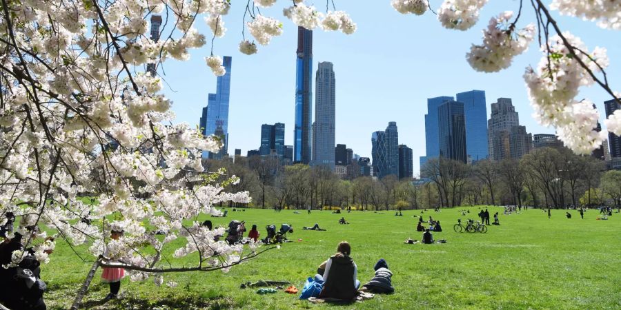 Central Park