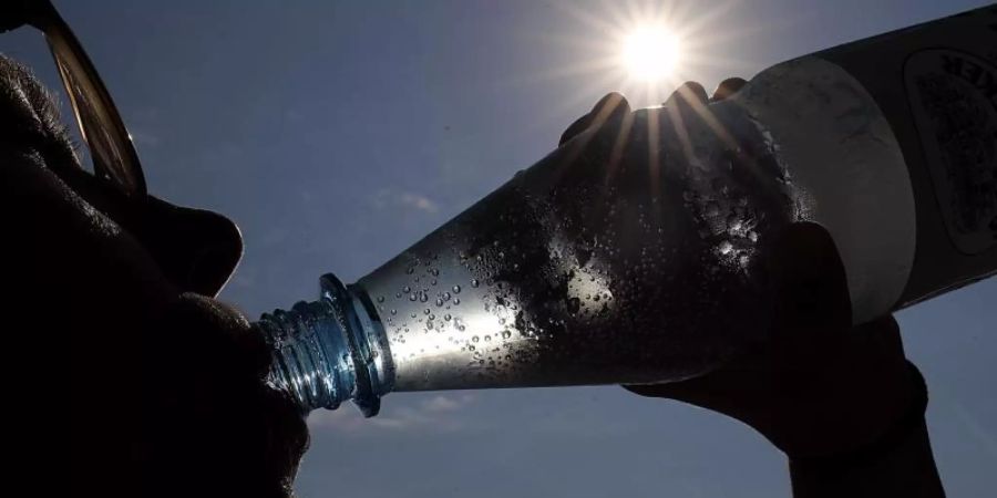 «Wir alle müssen lernen, sparsamer mit Wasser umzugehen. Wasser ist keine Selbstverständlichkeit mehr», sagte der Präsident des Umweltbundesamts. (Symbolbild)