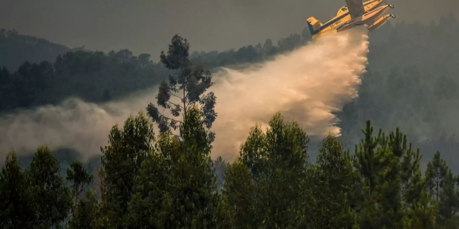 Feuerwehrflugzeug im Einsatz in Zentralportugal