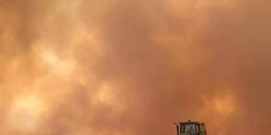 In Brasilien wüten die schwersten Waldbrände seit Jahren. Foto: CBMMT