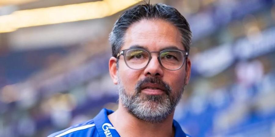 Trainer David Wagner dämpft auf Schalke die Erwartungen. Foto: Guido Kirchner