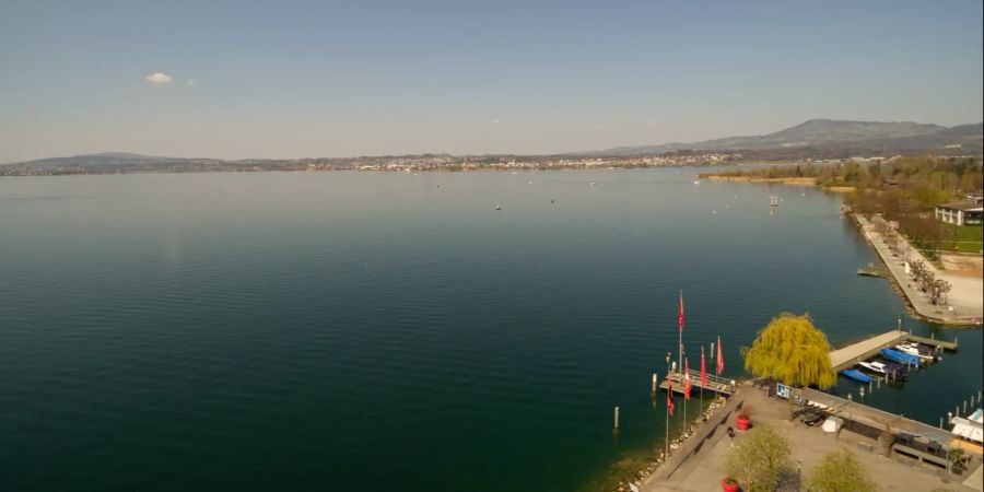 Am oberen Zürichsee bei Lachen (SZ).