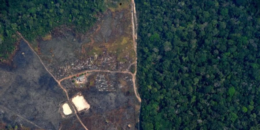 Landraub Brasilien Boykott Supermärkte