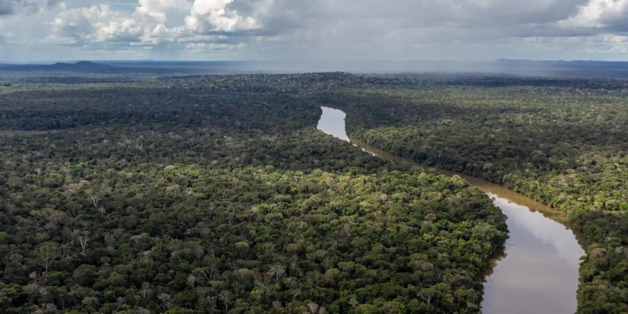 Brasilien Amazonas