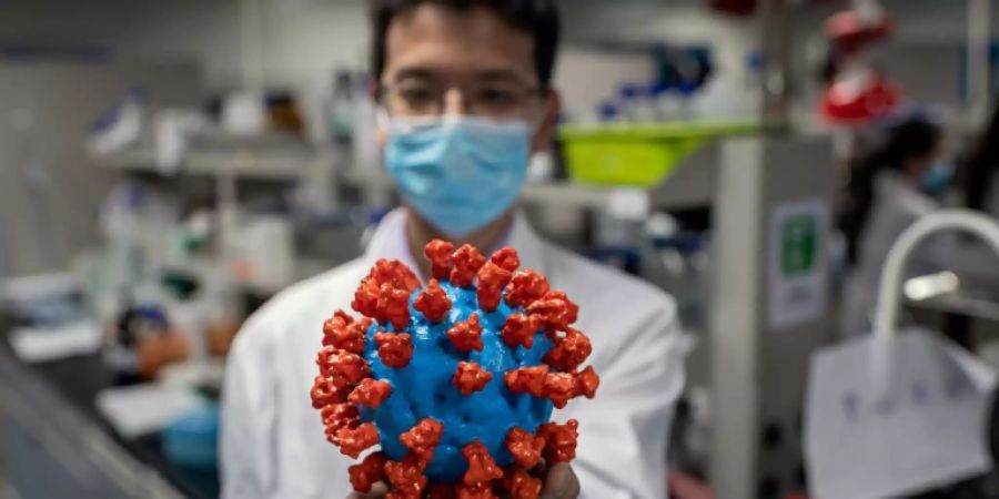 Wissenschaftler in China mit Modell des Coronavirus